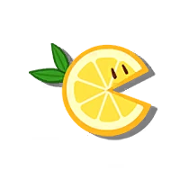Lemon Slice