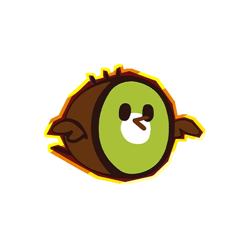 Kiwi Bird